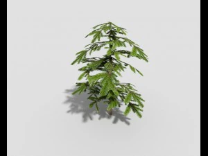 low poly shrub 3D Model