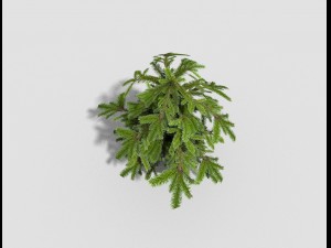 low poly shrub 3D Model