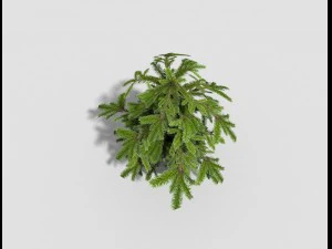 low poly shrub 3D Model