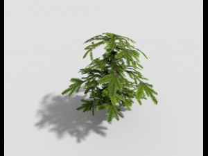 low poly shrub 3D Model