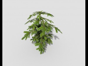 low poly shrub 3D Model