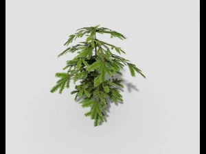 low poly shrub 3D Model