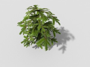 low poly shrub 3D Model