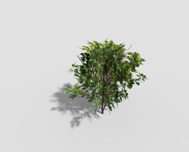 low poly shrub Modelo 3D .c4d .max .obj .3ds .fbx .stl .blend 