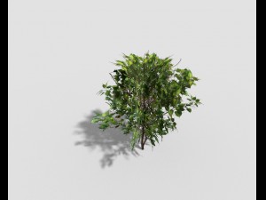 low poly shrub 3D Model