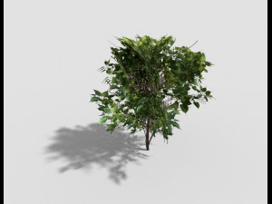 low poly shrub Modelo 3D