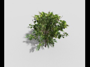 low poly shrub Modelo 3D