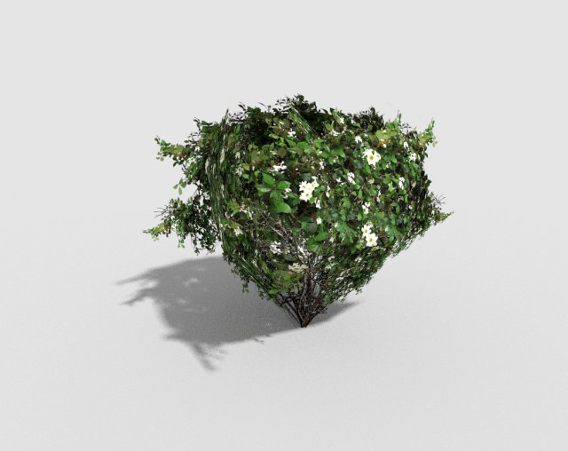 low poly shrub 3D Model .c4d .max .obj .3ds .fbx .stl .blend 