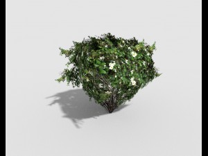 low poly shrub 3D Model