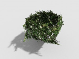low poly shrub 3D Model