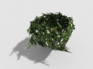 low poly shrub 3D Model