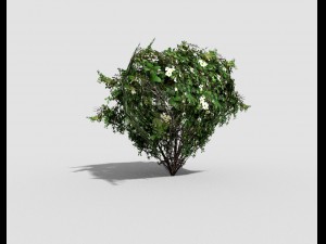low poly shrub 3D Model