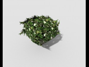 low poly shrub 3D Model