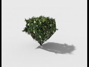 low poly shrub 3D Model