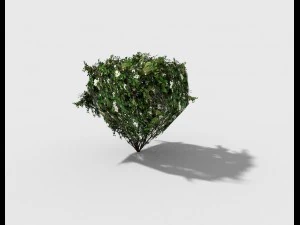 low poly shrub 3D Model