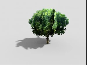 low poly tree 3D Model