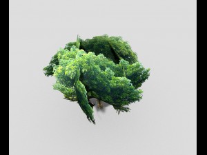 low poly tree 3D Model