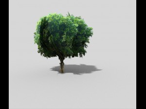 low poly tree 3D Model