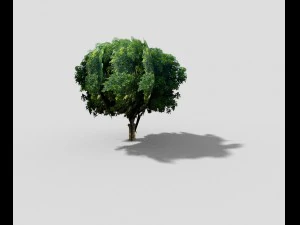 low poly tree 3D Model