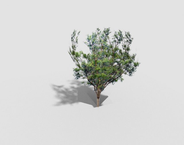 low poly tree 3D 모델 .c4d .max .obj .3ds .fbx .stl .blend 