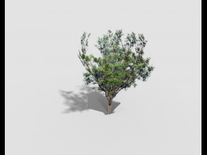 low poly tree 3D Model