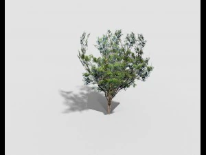 low poly tree 3D Model
