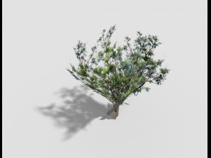low poly tree 3D 모델