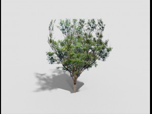 low poly tree 3D 모델