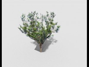 low poly tree 3D 모델