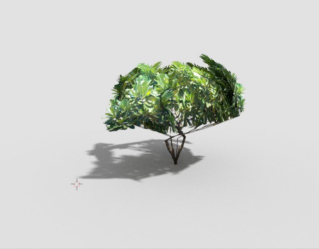 low poly tree 3D Model .c4d .max .obj .3ds .fbx .stl .blend 