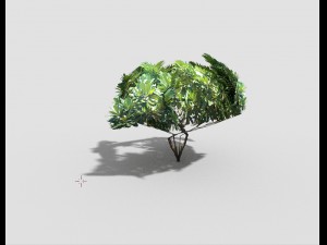 low poly tree 3D 모델