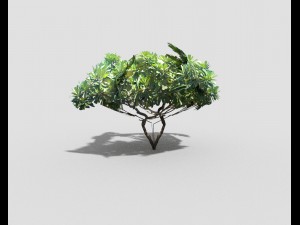 low poly tree 3D Model