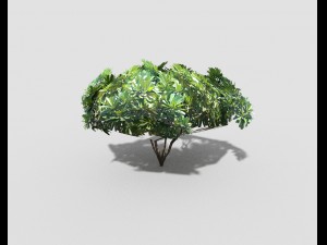low poly tree 3D Model