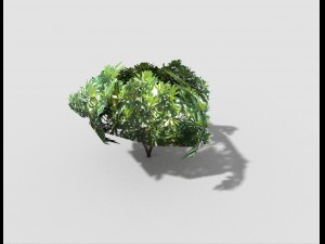 low poly tree 3D Model