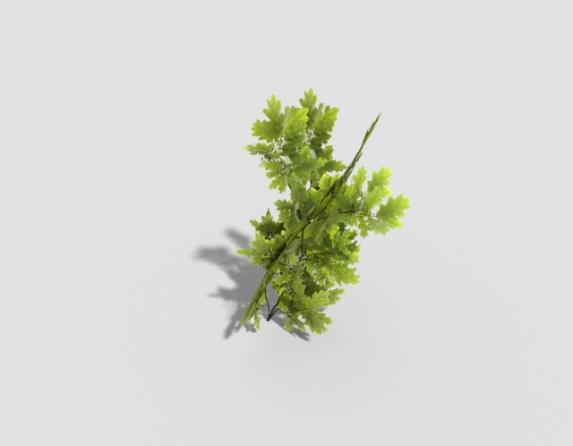 low poly tree 3D मॉडल .c4d .max .obj .3ds .fbx .stl .blend