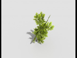 low poly tree 3Dモデル