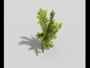 low poly tree 3D मॉडल