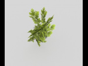 low poly tree 3D मॉडल