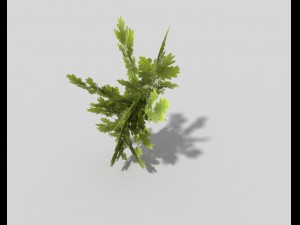 low poly tree 3D मॉडल