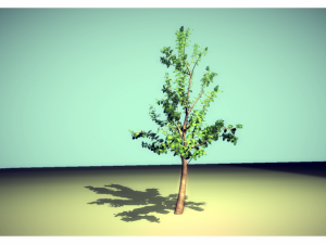 tree Modèle 3D
