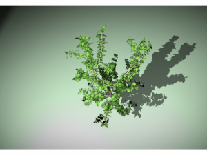 tree Model 3D