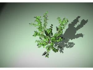 tree 3D Model