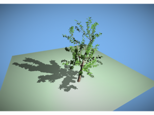 tree Model 3D