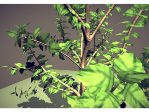 tree Model 3D