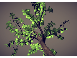 tree Model 3D