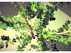 tree Model 3D