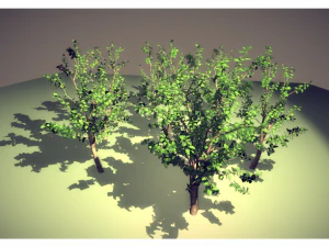 tree 3D Model