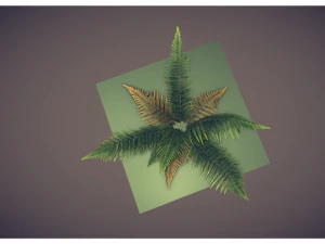helecho de baja poli Modelo 3D