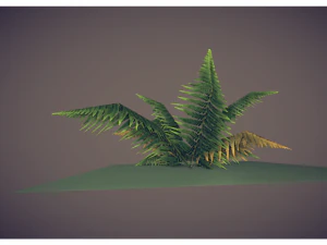 helecho de baja poli Modelo 3D