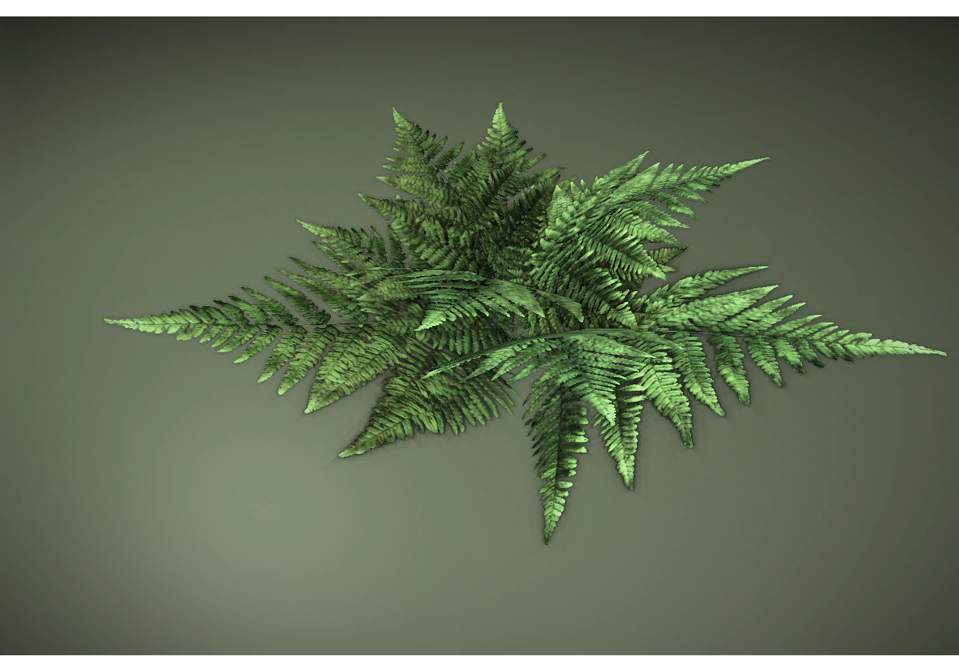 low poly fern 3D Model .c4d .max .obj .3ds .fbx .stl .blend 